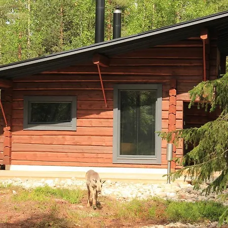 Semesterbostad Syöte Cottage